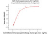 Immobilized SARS Nucleocapsid protein, His Tag at 1 ug/mL (100 uL/well) can bind Anti-SARS-CoV-2 Nucleocapsid Antibody, Human IgG1 with a linear range of 0.1-2 ng/mL (QC tested) .