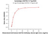 Immobilized Cynomolgus GUCY2C, Fc Tag at 1 ug/mL (100 uL/well) can bind Monoclonal Anti-Human GUCY2C Antibody, Human IgG1 with a linear range of 0.1-3 ng/mL (QC tested) .