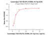 Immobilized Human TSLP R, Fc Tag at 5 ug/mL (100 uL/well) can bind Cynomolgus TSLP (R127A, R130S) , His Tag with a linear range of 1-4 ng/mL (QC tested) .