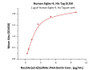 Immobilized Human Siglec-9, His Tag at 10 ug/mL (100 uL/well) on Nickel Coated plate, can bind Neu5Ac (a2-6) GalNAc-PAA-biotin with a linear range of 0.078-2.5 ug/mL (QC tested) .