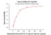 Immobilized Human CD28H, His Tag at 5 ug/mL (100 uL/well) can bind Biotinylated Human B7-H7, Fc Tag, Avi Tag with a linear range of 10-156 ng/mL (QC tested) .