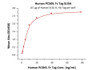 Immobilized Human VLDL R, His Tag at 5 ug/mL (100 uL/well) can bind Human PCSK9, Fc Tag with a linear range of 1-10 ng/mL (QC tested) .