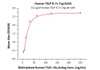 Immobilized Human TSLP R, Fc Tag at 5 ug/mL (100 uL/well) can bind Biotinylated Human TSLP, His, Avitag with a linear range of 4-31 ng/mL (QC tested) .