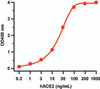 ELISA Binding Assay of ACE2 and SARS-CoV-2 (COVID-19) Delta Variant Spike RBD Recombinant Protein 
Coating Antigen: SARS-CoV-2 Delta variant (B.1.671.2) spike RBD protein, 1 ;g/mL, incubated at 4 &#730;C overnight.
Detection Antibodies: ACE2 recombinant protein, 10-120, dilution: 0.3- 1000 ng/mL, incubated at RT for 1 hr.
Secondary Antibodies: Goat anti-human HRP at 1:10, 000, incubate at RT for 1 hr.