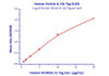 Immobilized Human Activin A, His Tag at 10 ug/mL (100 uL/well) can bind Human ACVR2A, Fc Tag with a linear range of 0.625-20 ug/mL.