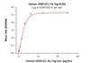 Immobilized VEGFR1/R2-Fc at 1 ug/mL can bind Human VEGF121, His Tag with a linear range of 0.2-6.2 ng/mL.