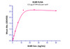 Immobilized human IFN-alpha1a at 2 ug/mL (100 uL/well) , can bind Vaccinia Virus B18R, His Tag with a linear range of 0.8-10 ng/mL.