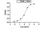 Anti-MPXV M1R Antibody binds with M1R protein