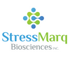 MARCKS Antibody (pSer170)- Streptavidin