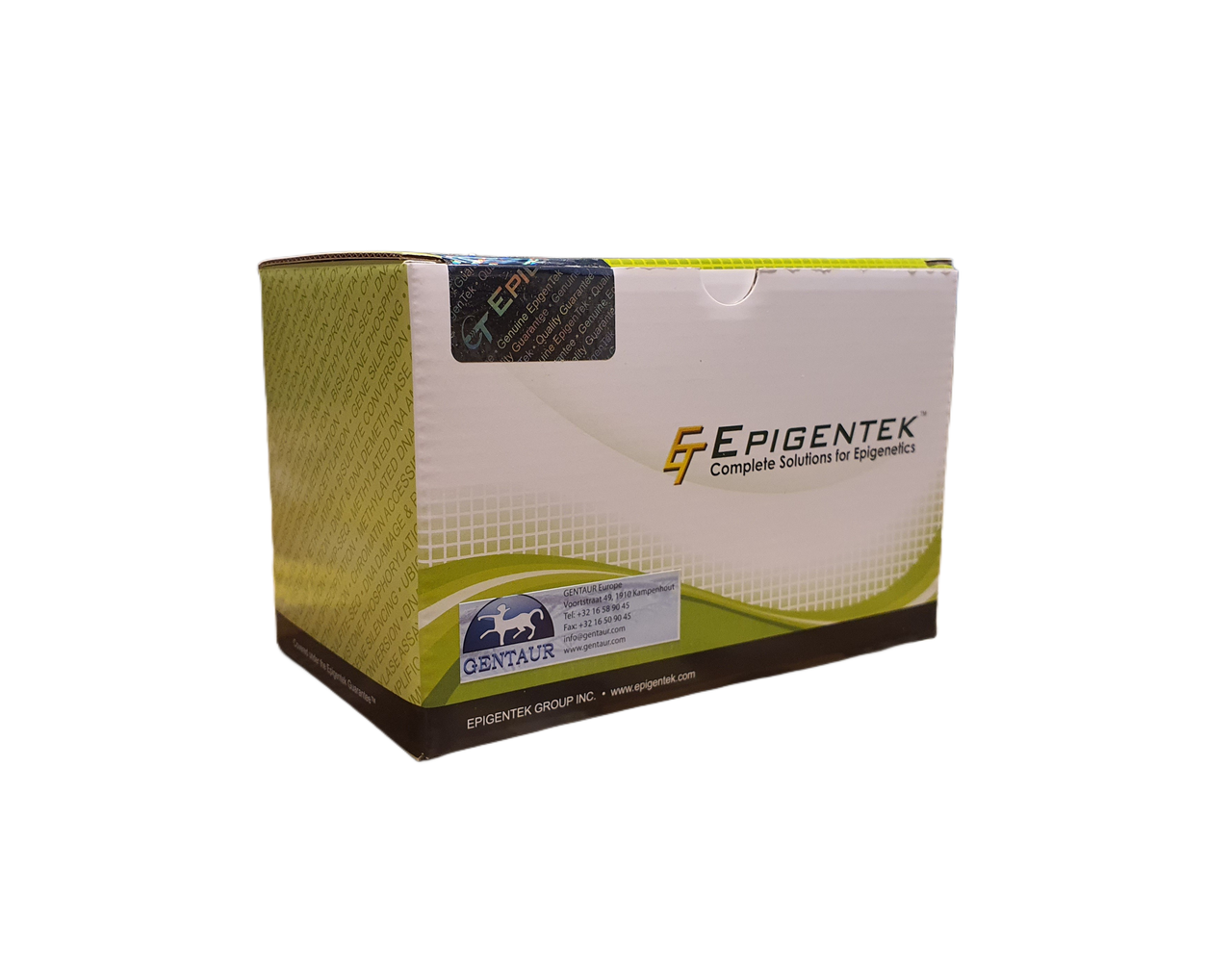 EpiQuik Tissue Methyl-Histone H3K4 ChIP Kit | P-2009