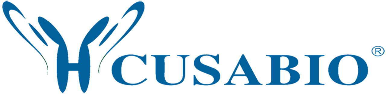 Human cathepsin B (CTSB) ELISA kit