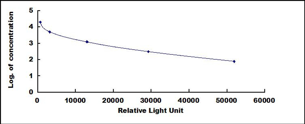 Rat Insulin (INS)CLIA Kit