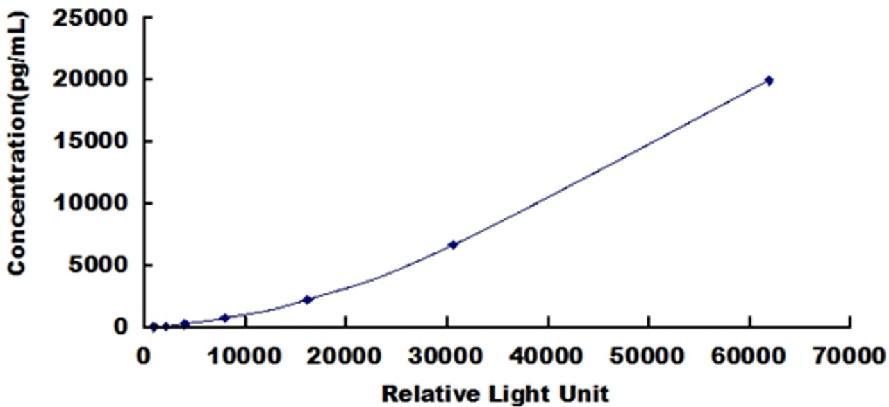 Human Macrophage Derived Chemokine (MDC)CLIA Kit