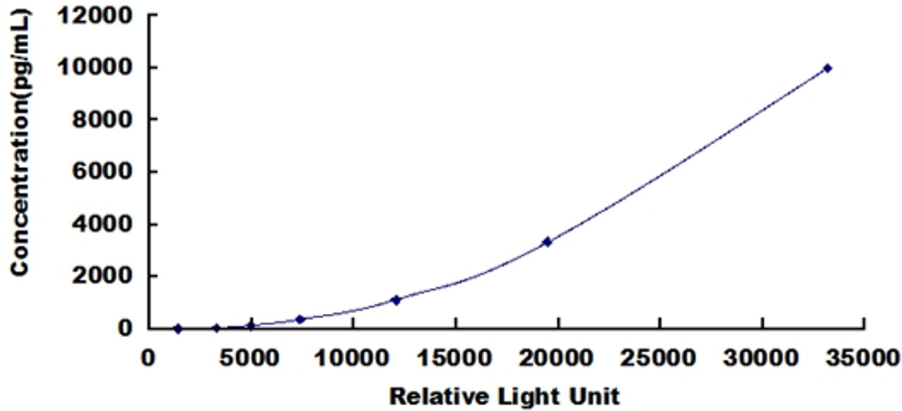 Mouse Macrophage Derived Chemokine (MDC)CLIA Kit