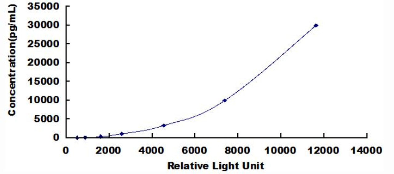 Mouse Matrix Metalloproteinase 9 (MMP9)CLIA Kit