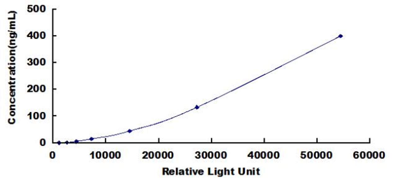 Rat Prothrombin Fragment 1+2 (F1+2)CLIA Kit