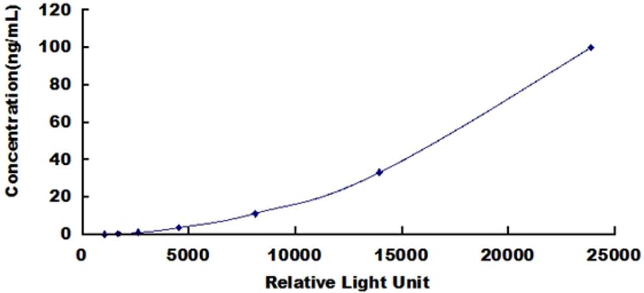 Human Complement C3 Convertase (C3c)CLIA Kit