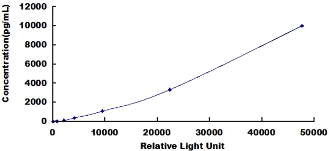 Human C Reactive Protein (CRP)CLIA Kit