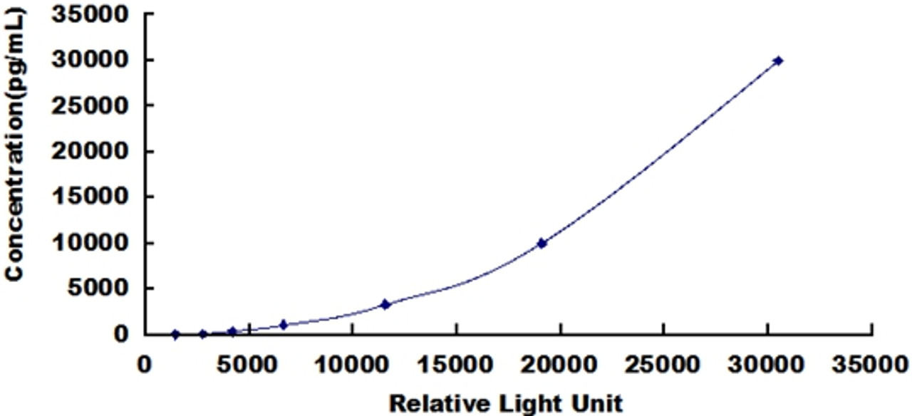 Human Receptor Activator Of Nuclear Factor Kappa B Ligand (RANkL)CLIA Kit