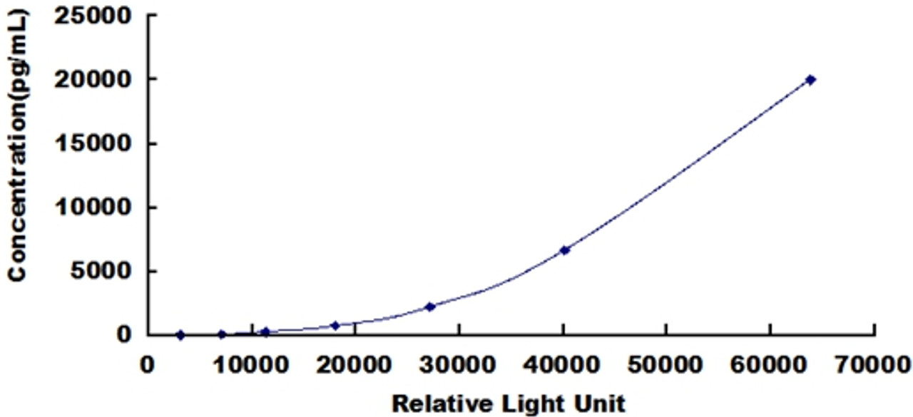 Human Tumor Protein p53 (TP53)CLIA Kit