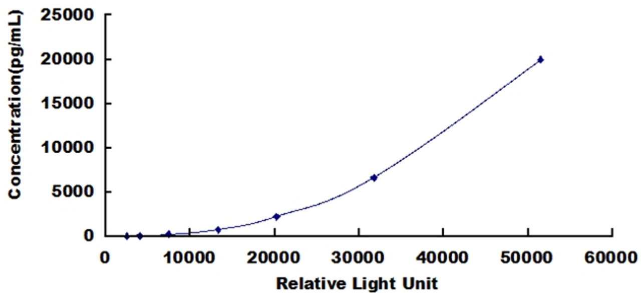 Human Elastin Microfibril Interface Located Protein 2 (EMILIN2)CLIA Kit