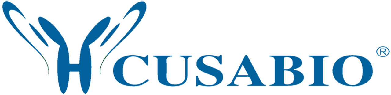 Bovine lipopolysaccharides (LPS) ELISA kit