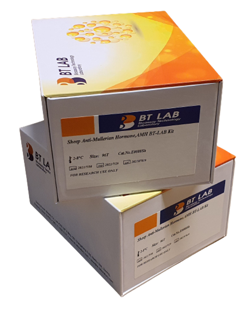 Sheep Anti-Mullerian Hormone(AMH) ELISA Kit