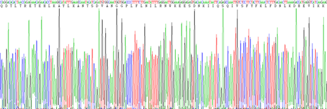 Rabbit Eukaryotic Interferon Gamma (IFNg)