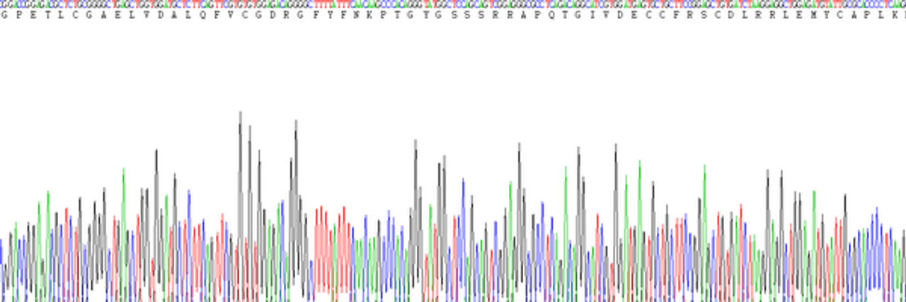 Human Eukaryotic Insulin Like Growth Factor 1 (IGF1)