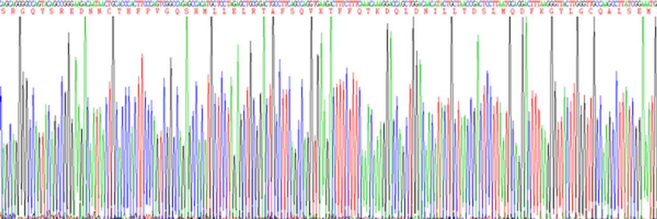 Mouse Eukaryotic Interleukin 10 (IL10)