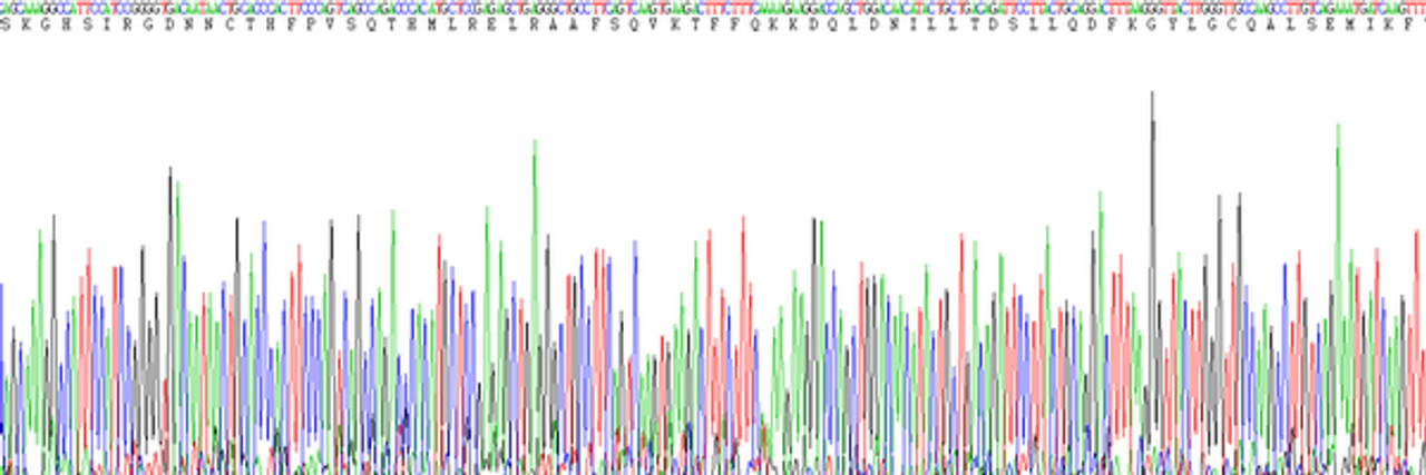 Rat Eukaryotic Interleukin 10 (IL10)