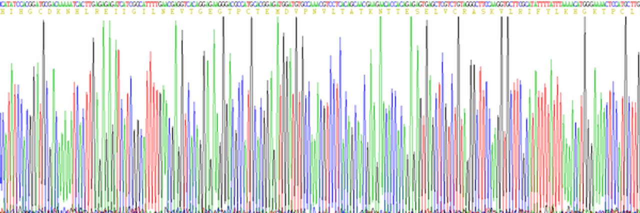 Mouse Eukaryotic Interleukin 4 (IL4)