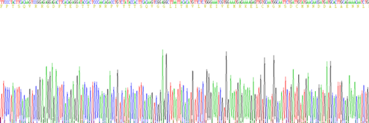 Mouse Eukaryotic Interleukin 6 (IL6)