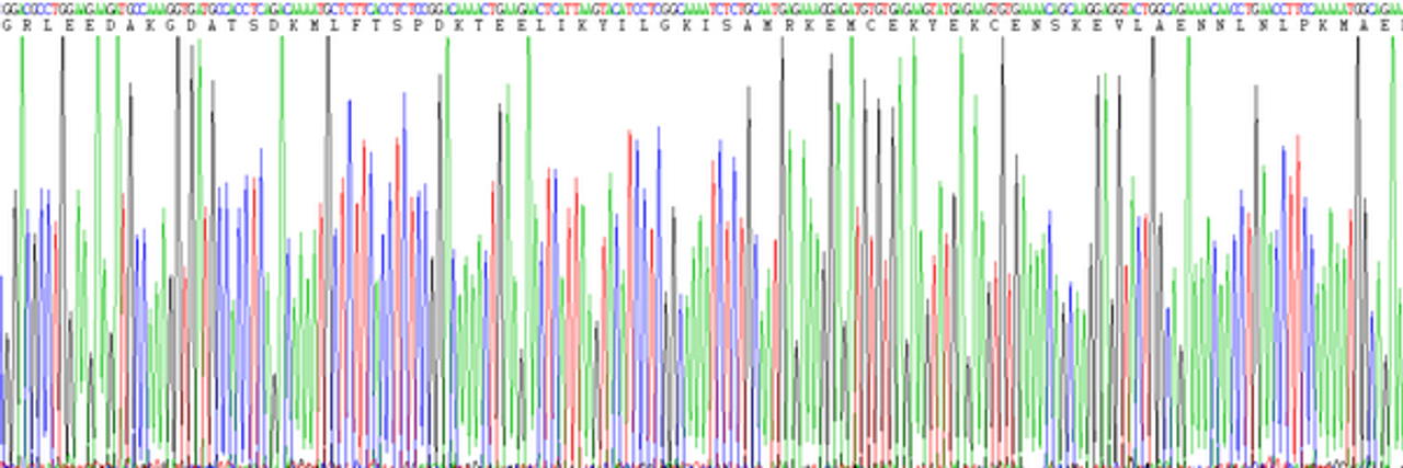 Pig Eukaryotic Interleukin 6 (IL6)