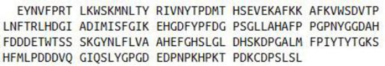 Human Recombinant Matrix Metalloproteinase 13 (MMP13)