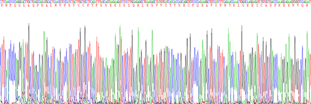 Human Eukaryotic Monocyte Chemotactic Protein 4 (MCP4)