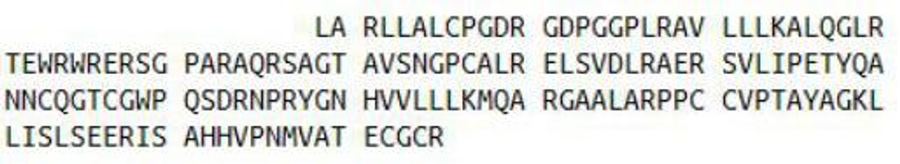 Pig Recombinant Anti-Mullerian Hormone (AMH)