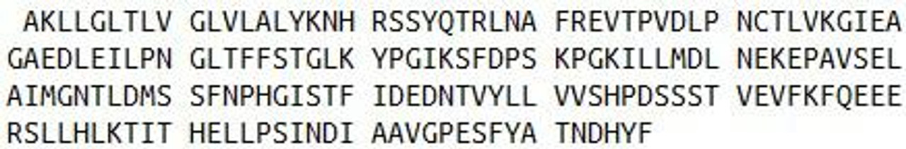 Rat Recombinant Paraoxonase 1 (PON1)