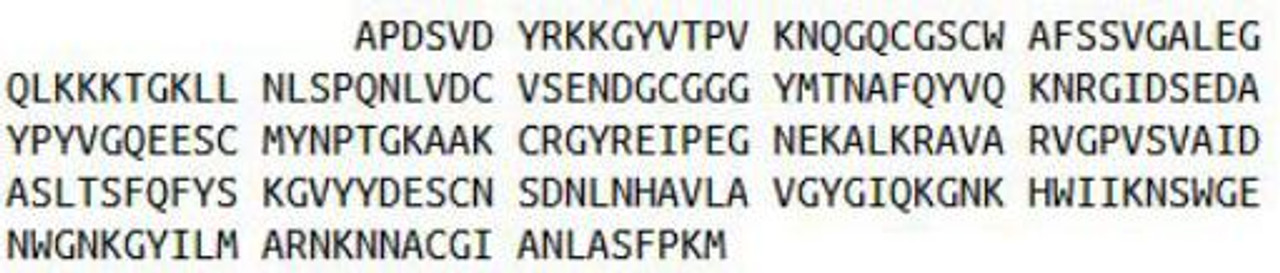 Human Recombinant Cathepsin K (CTSK)