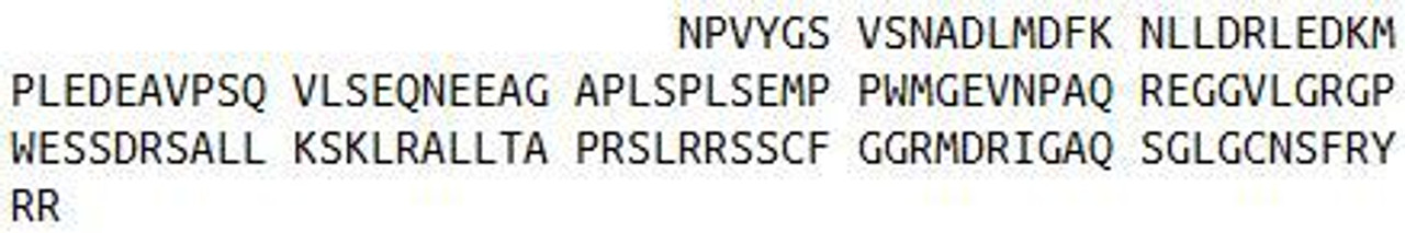 Cattle Recombinant Natriuretic Peptide Precursor A (NPPA)