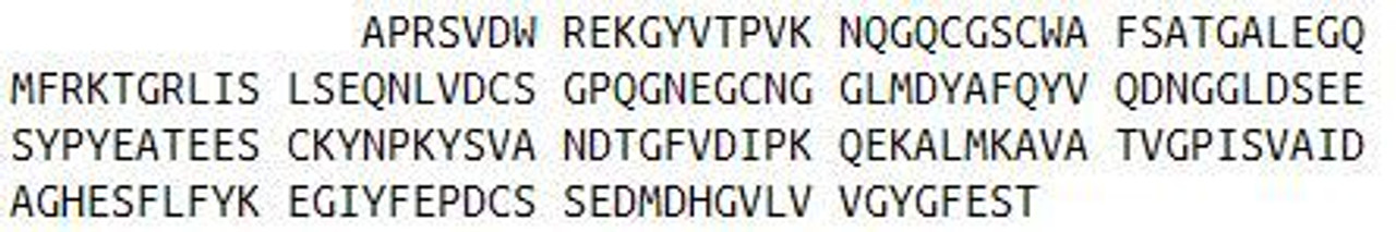 Human Recombinant Cathepsin L (CTSL)