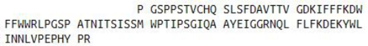 Rat Recombinant Matrix Metalloproteinase 12 (MMP12)