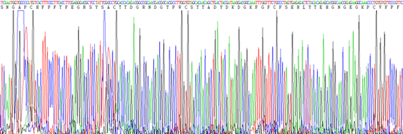 Mouse Eukaryotic Matrix Metalloproteinase 9 (MMP9)