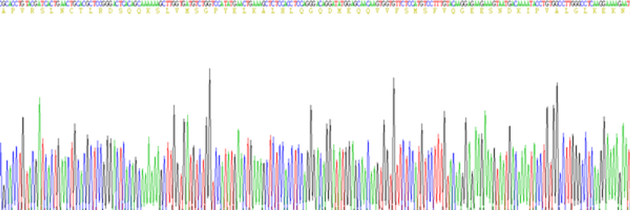 Human Eukaryotic Interleukin 1 Beta (IL1b)