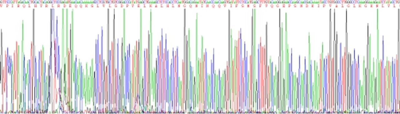 Mouse Eukaryotic Interleukin 1 Beta (IL1b)