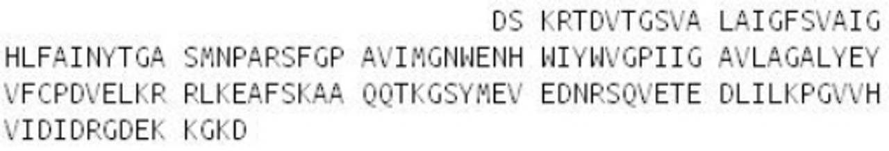 Rat Recombinant Aquaporin 4 (AQP4)