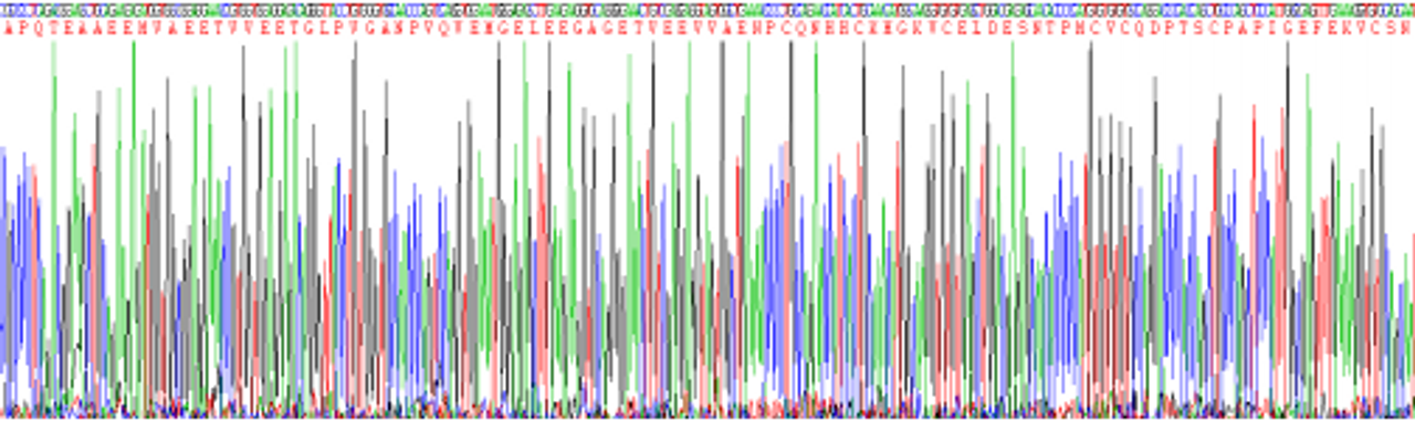 Rat Recombinant Osteonectin (ON)