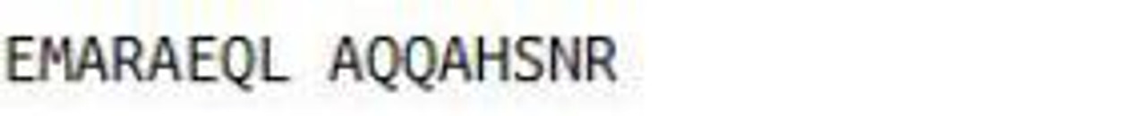 Human KLH Conjugated Corticotropin Releasing Hormone (CRH)