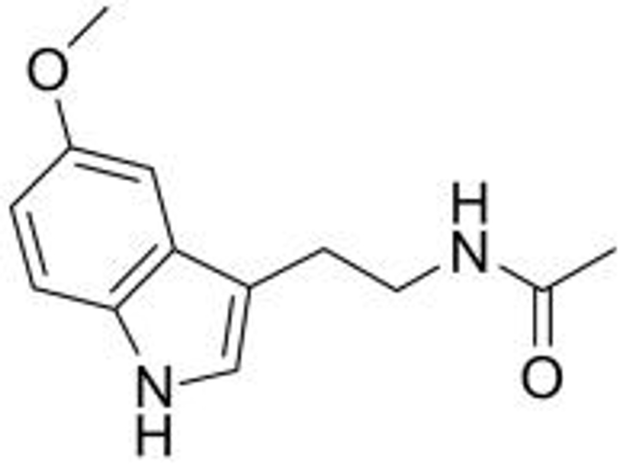 BSA Conjugated Melatonin (MT)