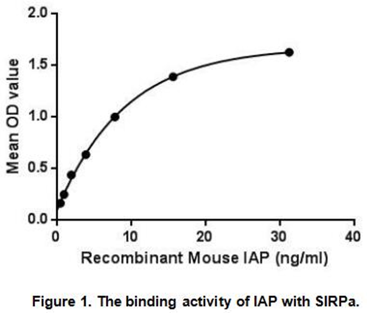 Mouse Active Integrin Associated Protein (IAP)